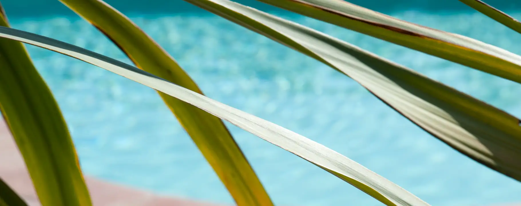 Individueller Swimmingpool im Raum Nürnberg
