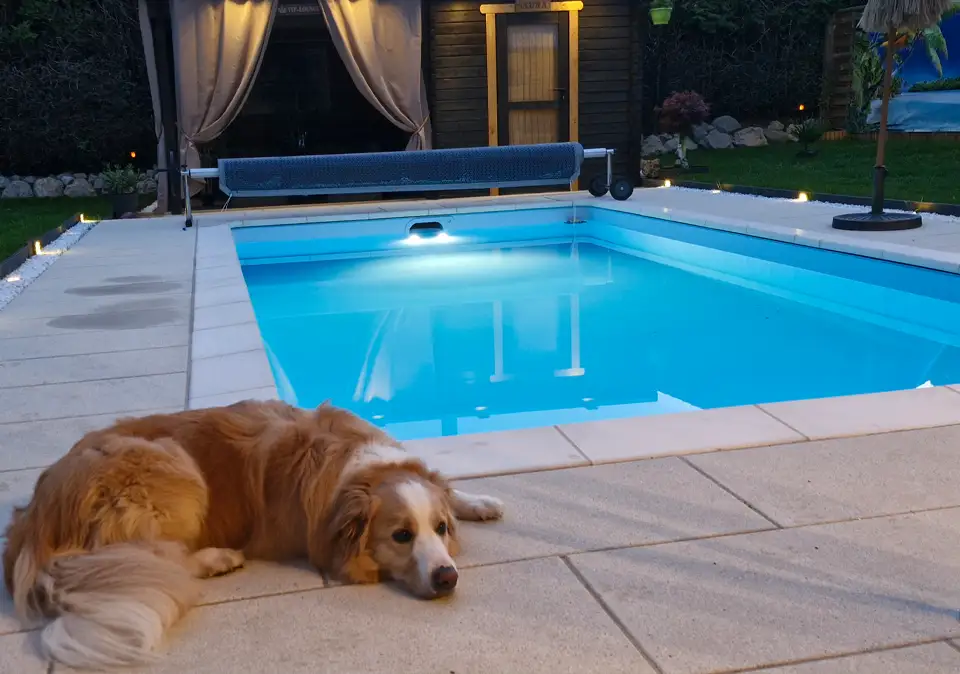 Kompakter Pool im Garten
